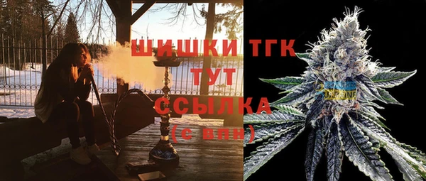 дмт Алексин
