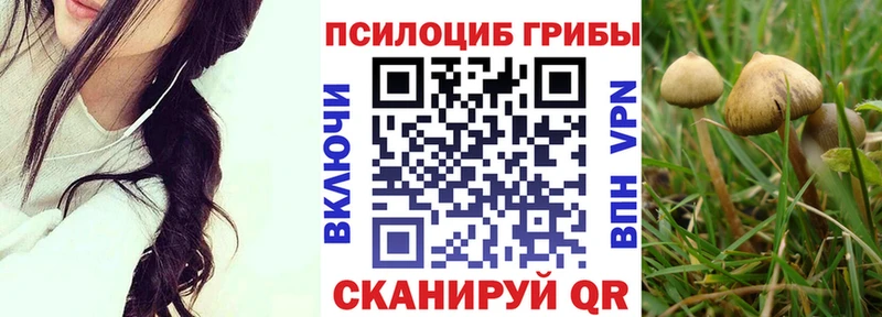 Псилоцибиновые грибы MAGIC MUSHROOMS Нестеров