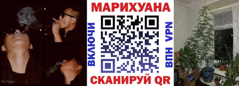 Бошки Шишки MAZAR  Нестеров 